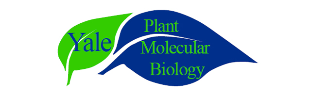 Yele plant-molecular-biology